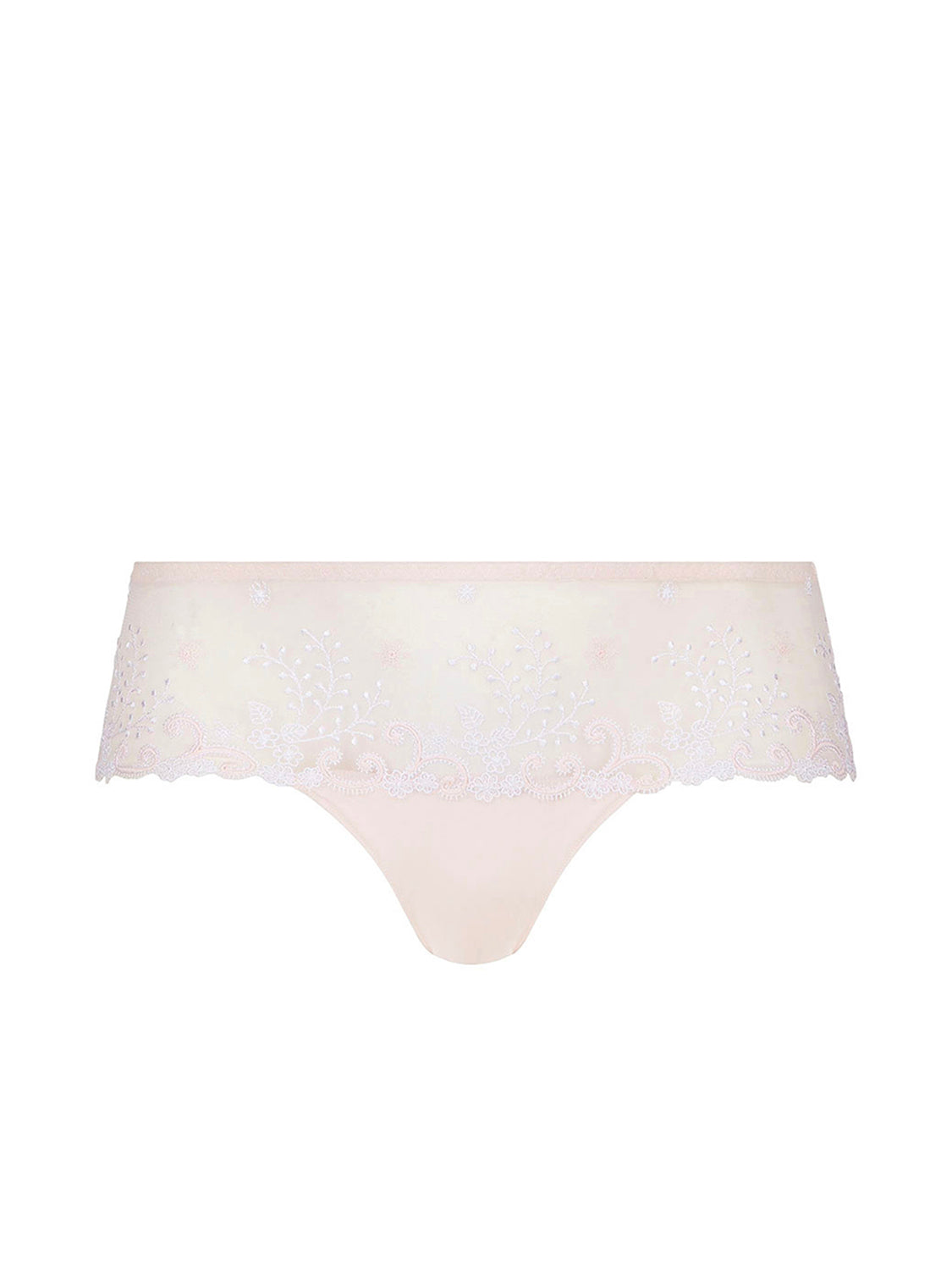 12x319 Delice Sheer Plunge - Pretty Moments Lingerie